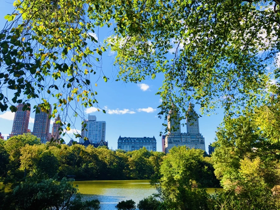 IMG_1671.jpg?type=w966