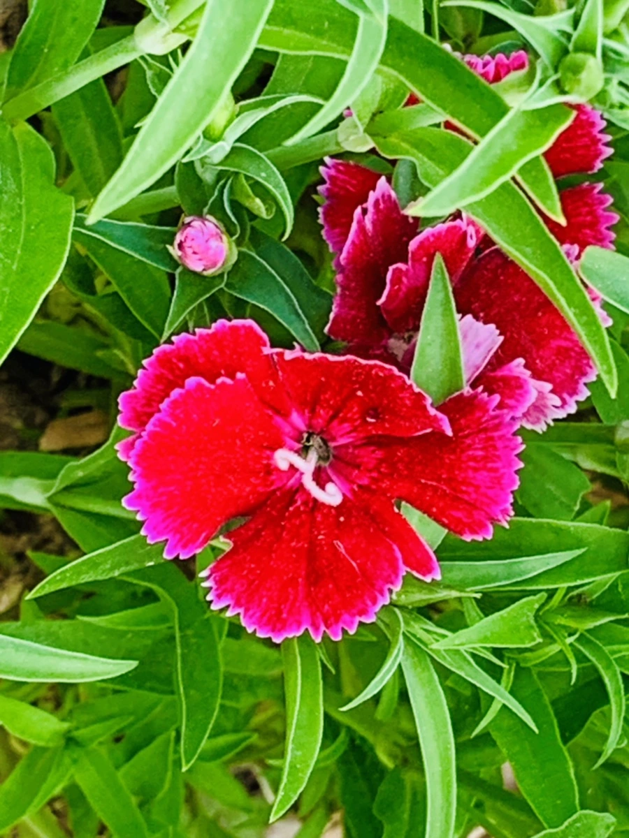 IMG_9022.jpg?type=w966