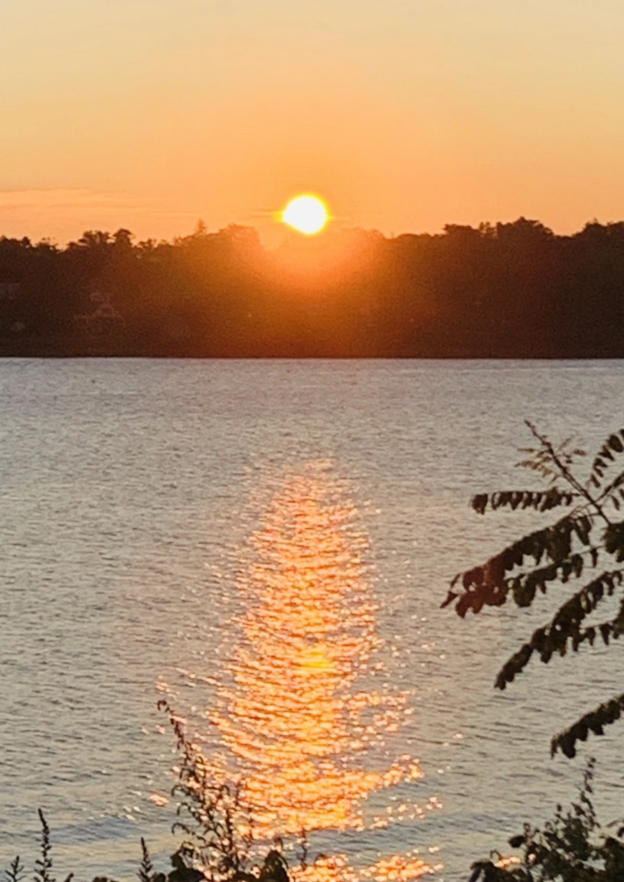 IMG_9563.jpg?type=w966