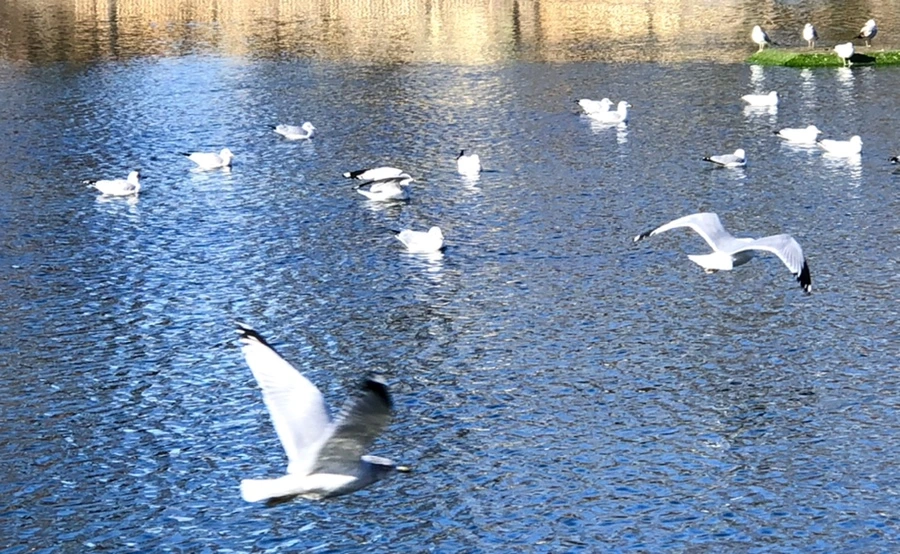 IMG_9699.jpg?type=w966