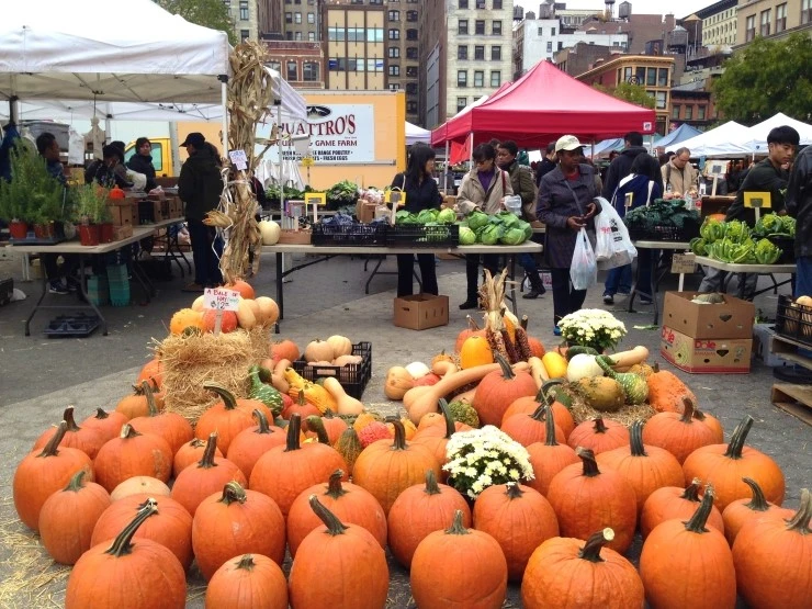 IMG_4646.JPG?type=w1