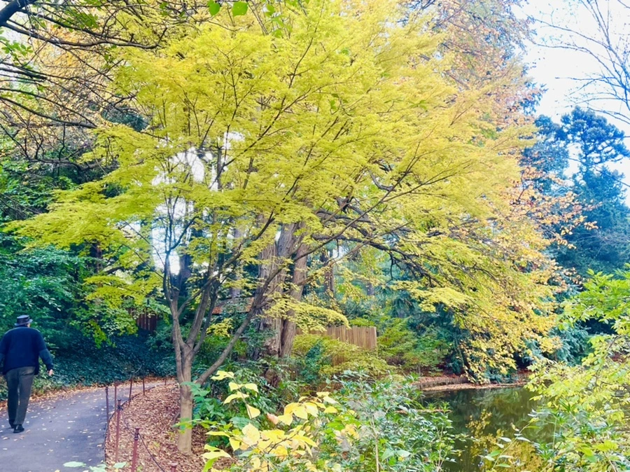 IMG_0209.jpg?type=w966