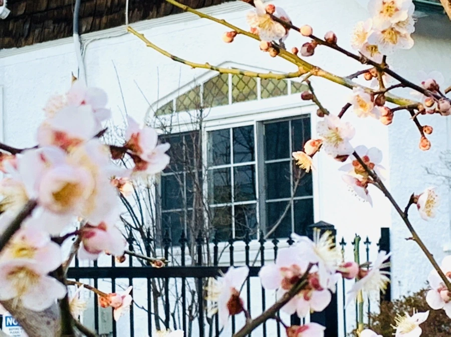 IMG_0946.jpg?type=w966