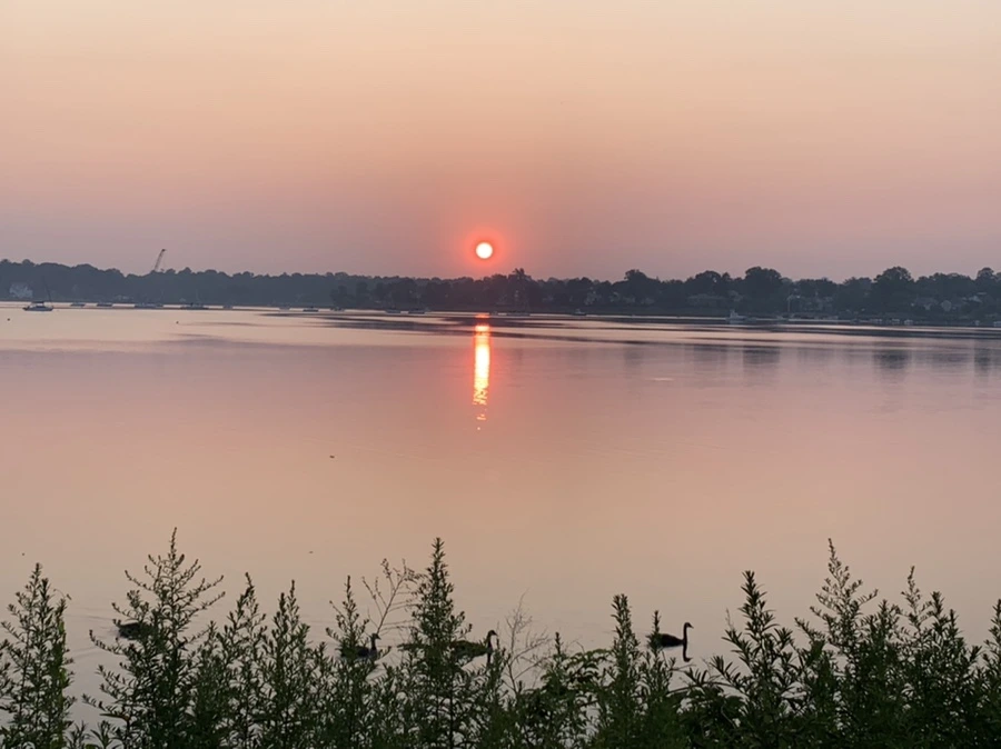 IMG_1958.jpg?type=w966