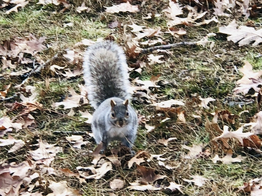 IMG_9934.jpg?type=w966