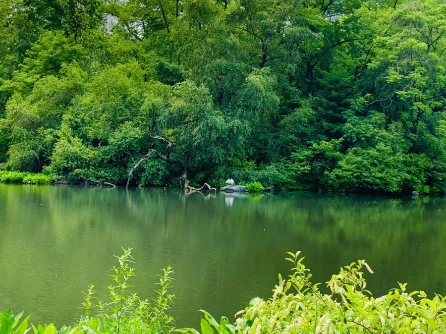 IMG_1631.jpg?type=w966