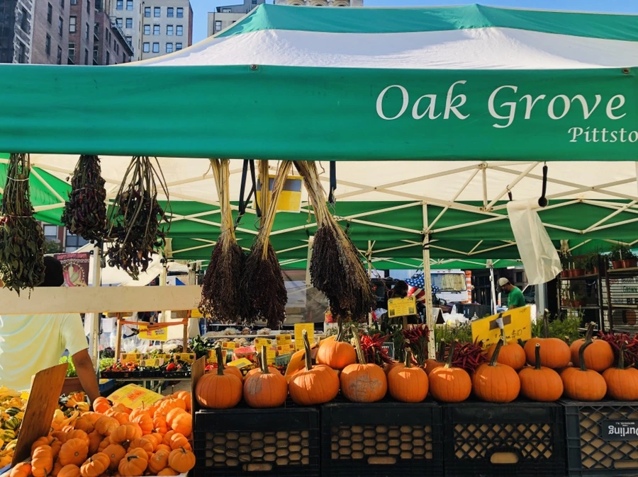 IMG_3969.jpg?type=w966