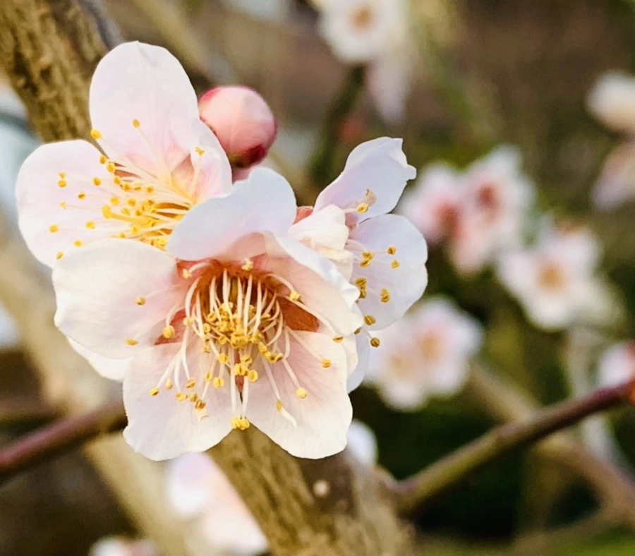 IMG_2741.jpg?type=w966