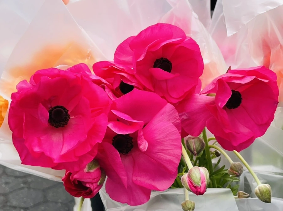 IMG_2201.jpg?type=w966