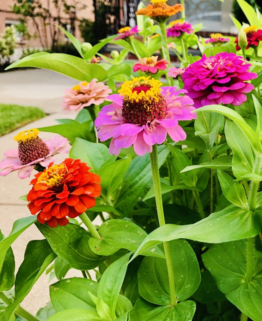 IMG_1790.jpg?type=w966