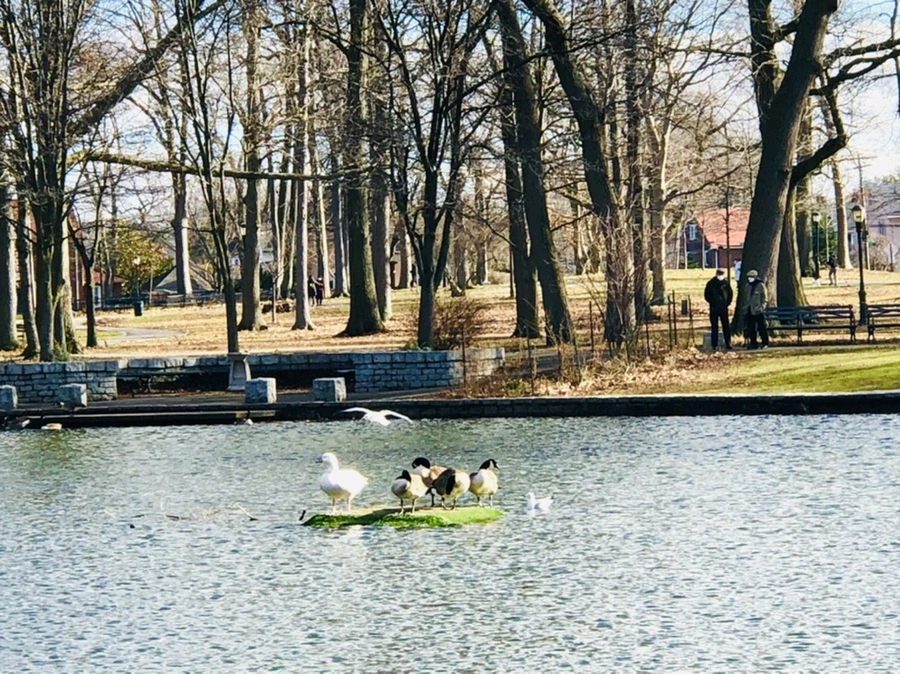 IMG_9238.jpg?type=w966