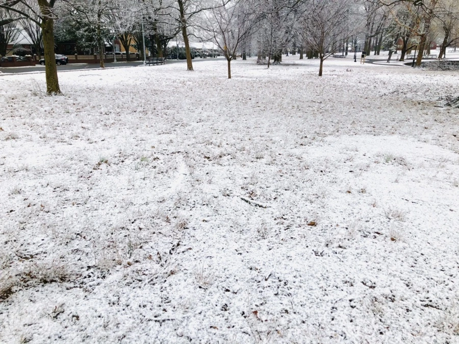 IMG_4469.jpg?type=w966