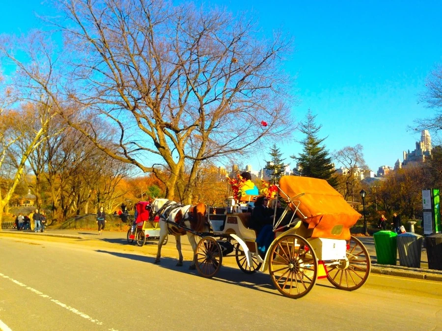 IMG_9001.JPG?type=w1