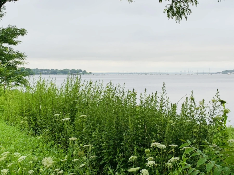 IMG_7098.jpg?type=w966