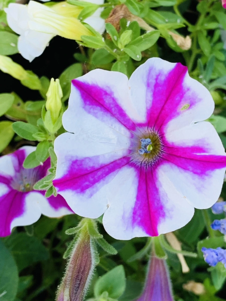 IMG_5304.jpg?type=w966