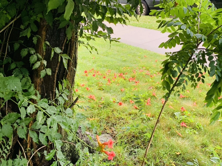 IMG_0050.jpg?type=w966