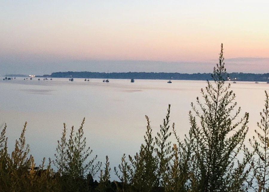 IMG_7014.jpg?type=w966