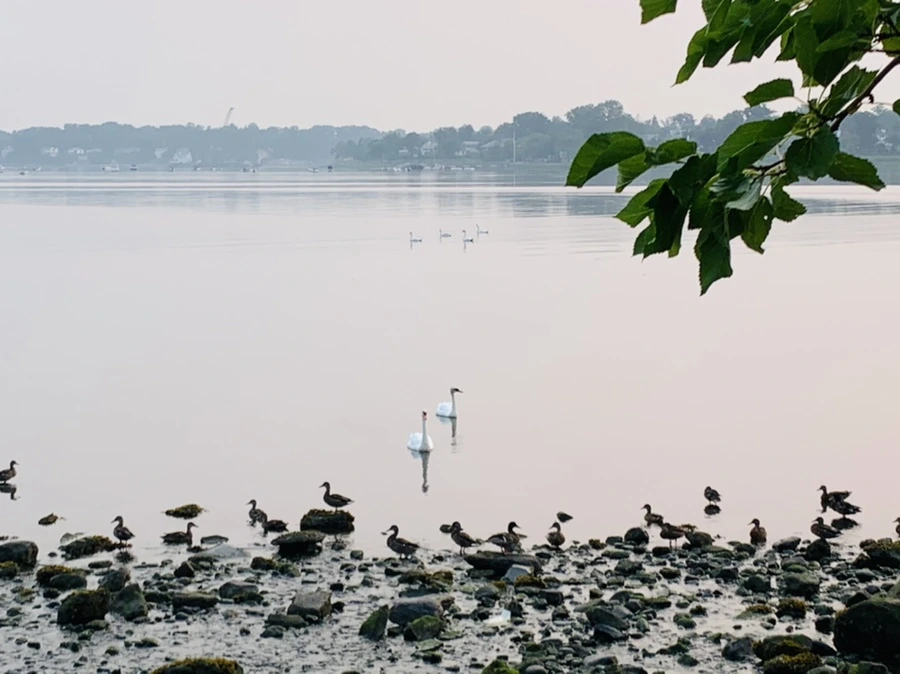 IMG_8395.jpg?type=w966