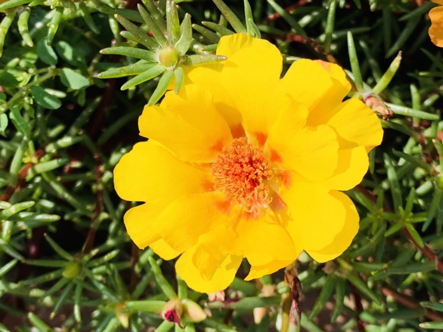 IMG_6686.jpg?type=w966