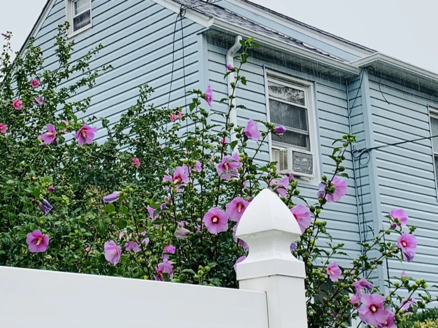 IMG_3817.jpg?type=w966