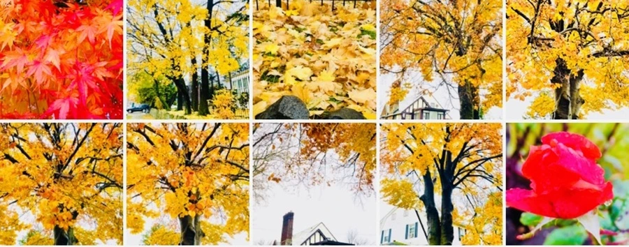 IMG_6135.jpg?type=w966