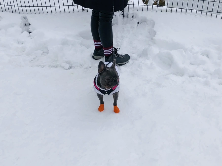 IMG_9592.jpg?type=w966