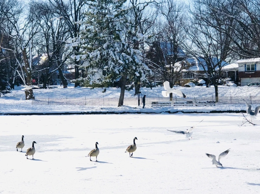 IMG_1322.jpg?type=w966