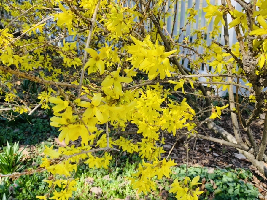 IMG_5717.jpg?type=w966