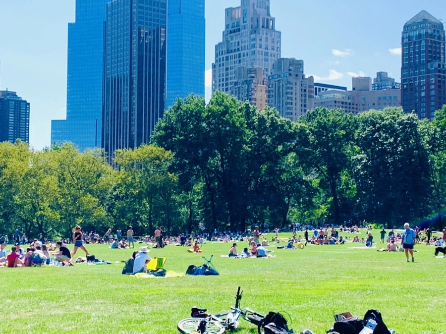 IMG_4383.jpg?type=w966