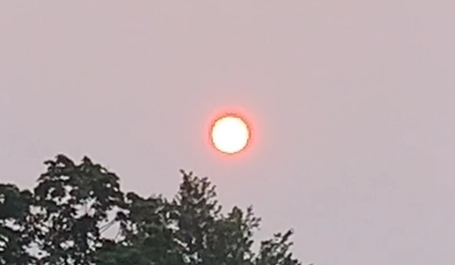 IMG_8043.jpg?type=w966