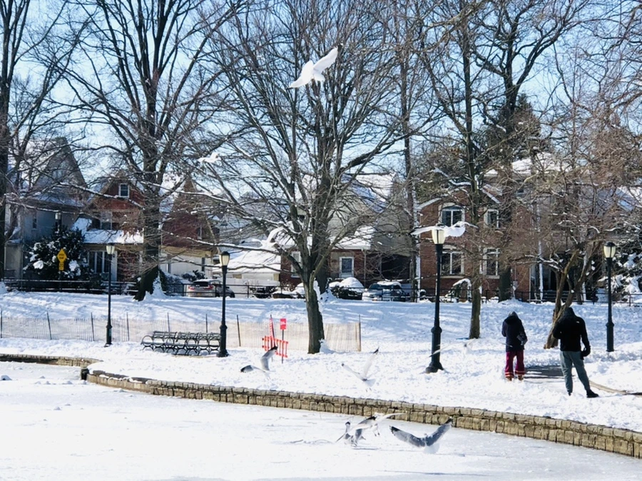 IMG_1315.jpg?type=w966