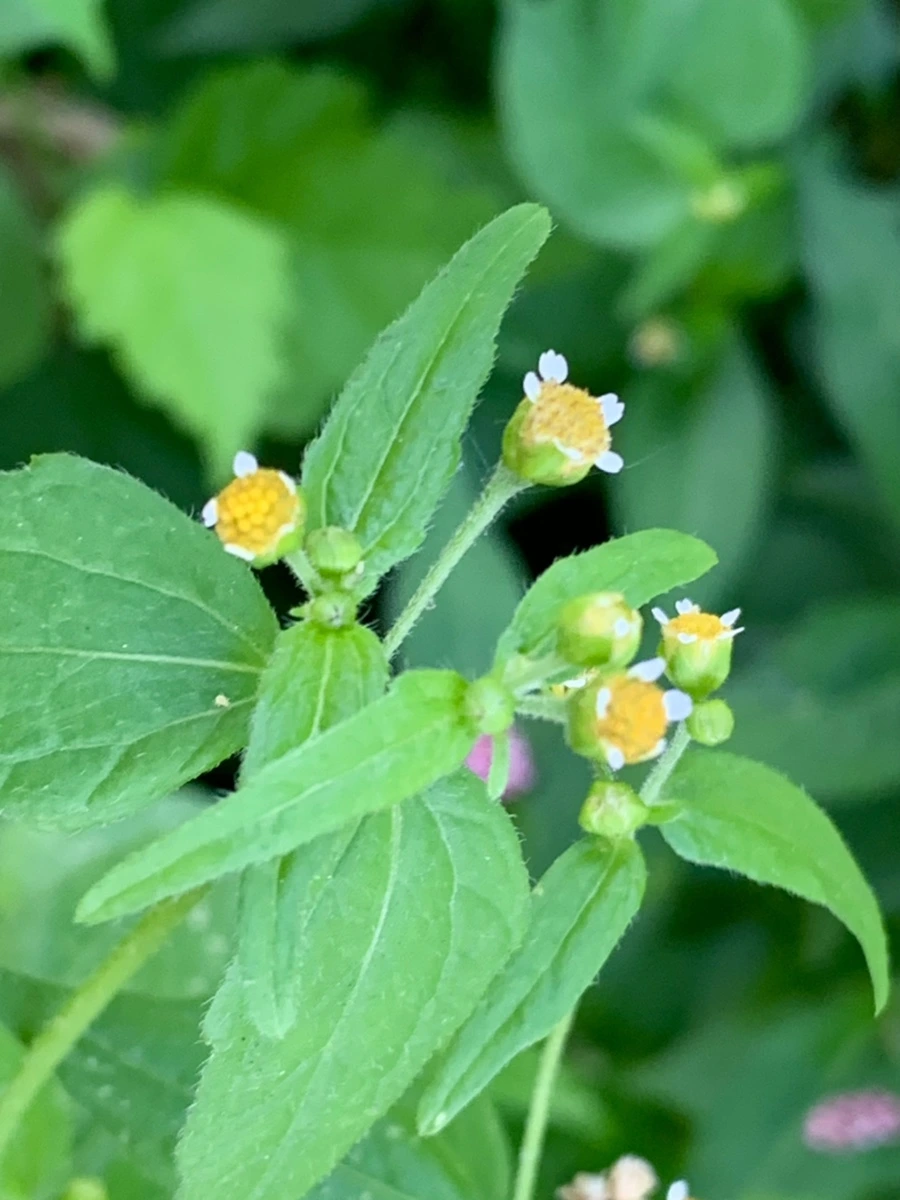 IMG_5619.jpg?type=w966