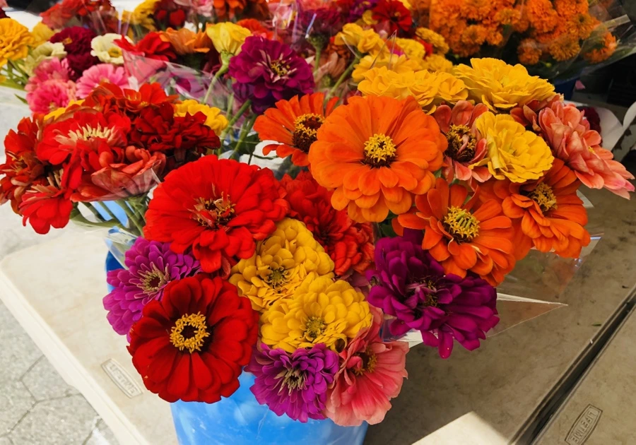 IMG_1722.jpg?type=w966