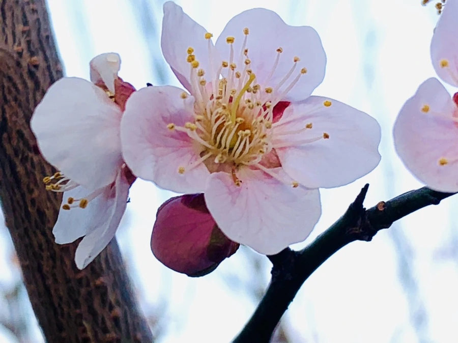 IMG_2333.jpg?type=w966