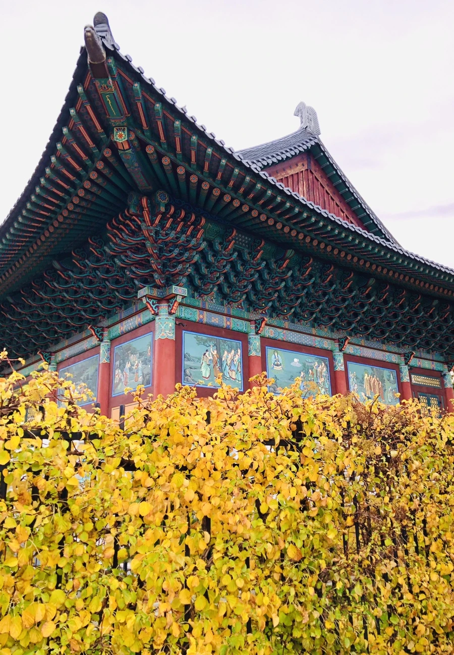 IMG_3405.jpg?type=w966