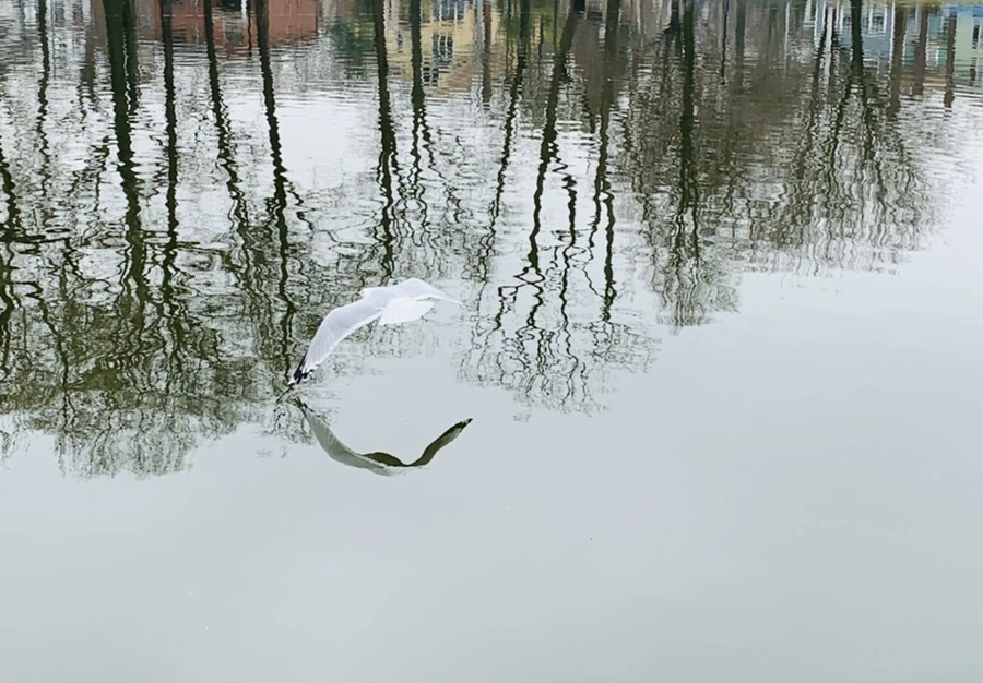 IMG_3845.jpg?type=w966