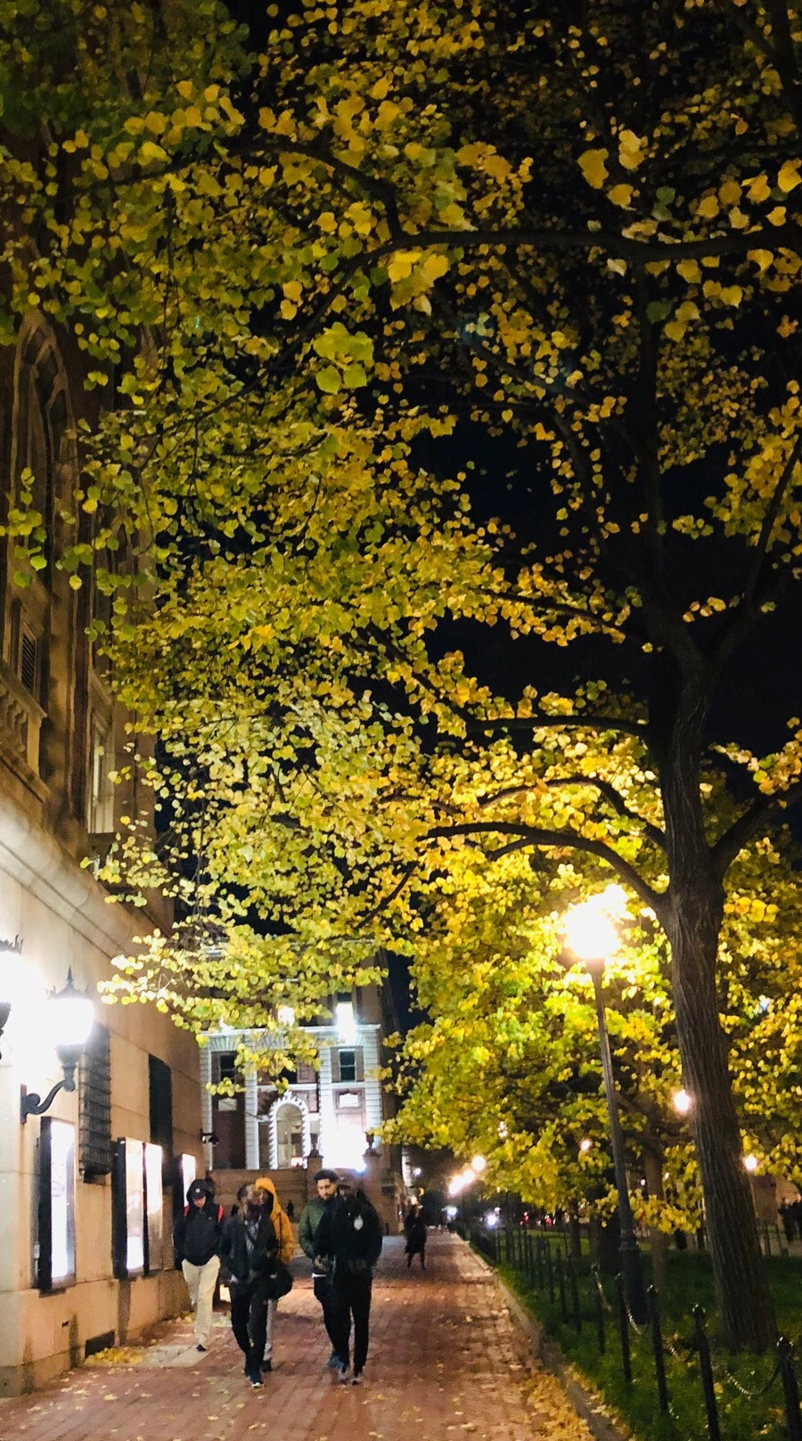 IMG_7636.jpg?type=w966