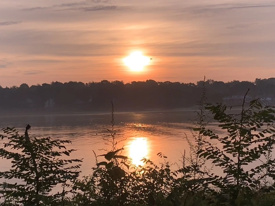 IMG_6860.jpg?type=w966