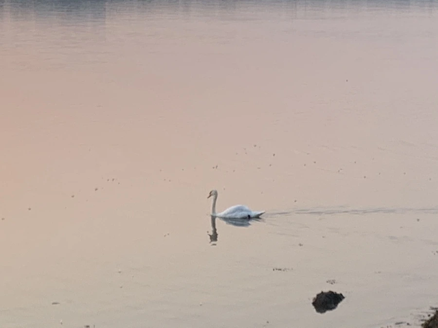 IMG_2023.jpg?type=w966