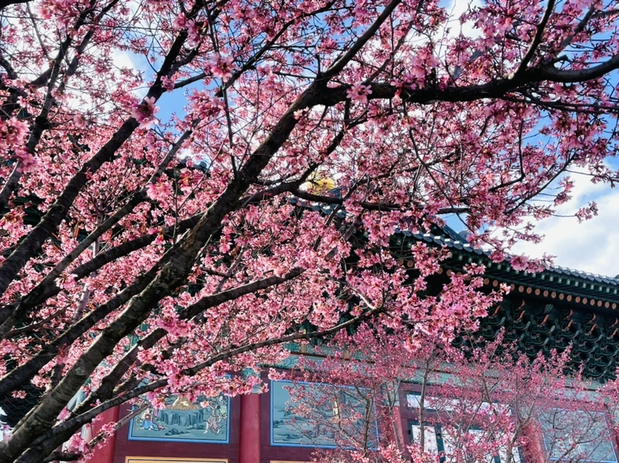 IMG_6189.jpg?type=w966