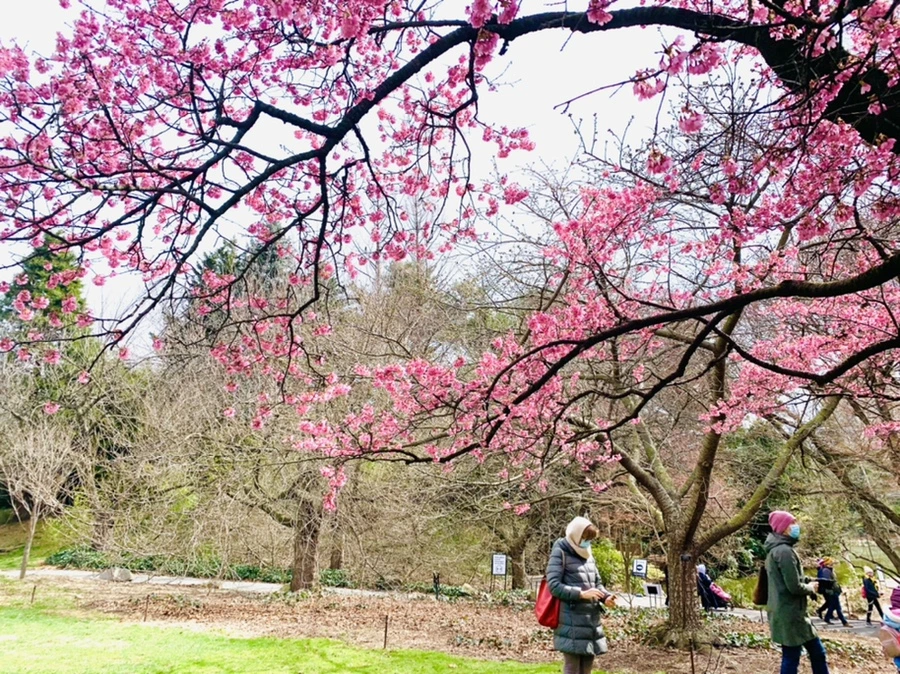 IMG_6429.jpg?type=w966