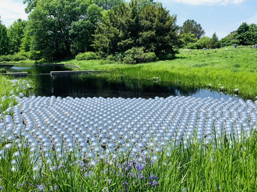 IMG_8432.jpg?type=w966