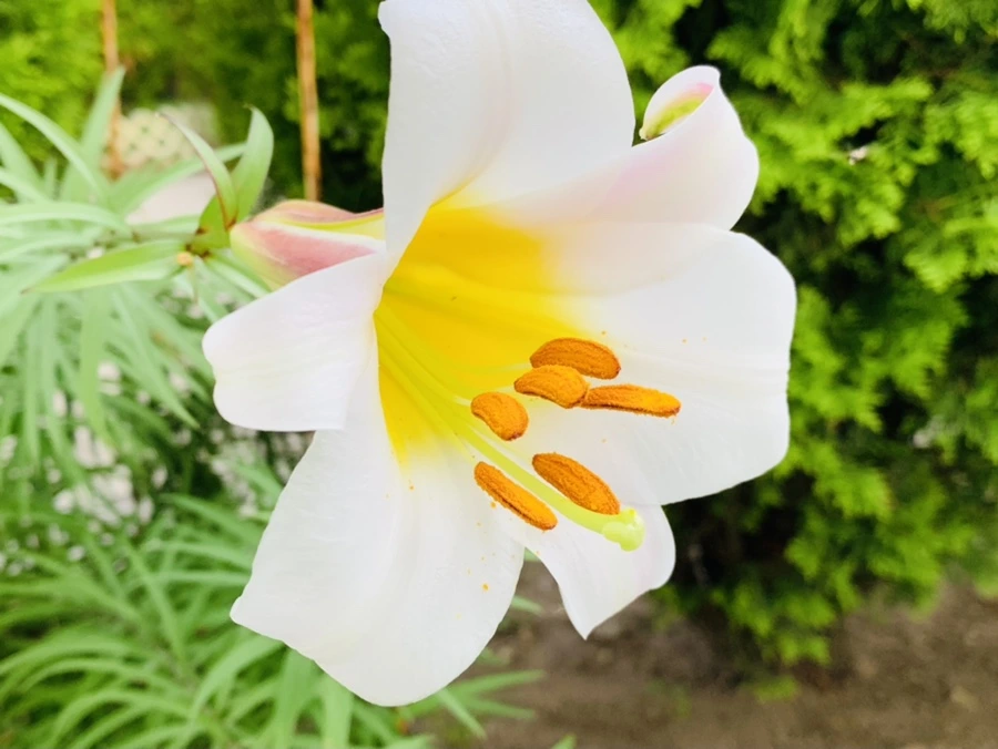 IMG_5909.jpg?type=w966