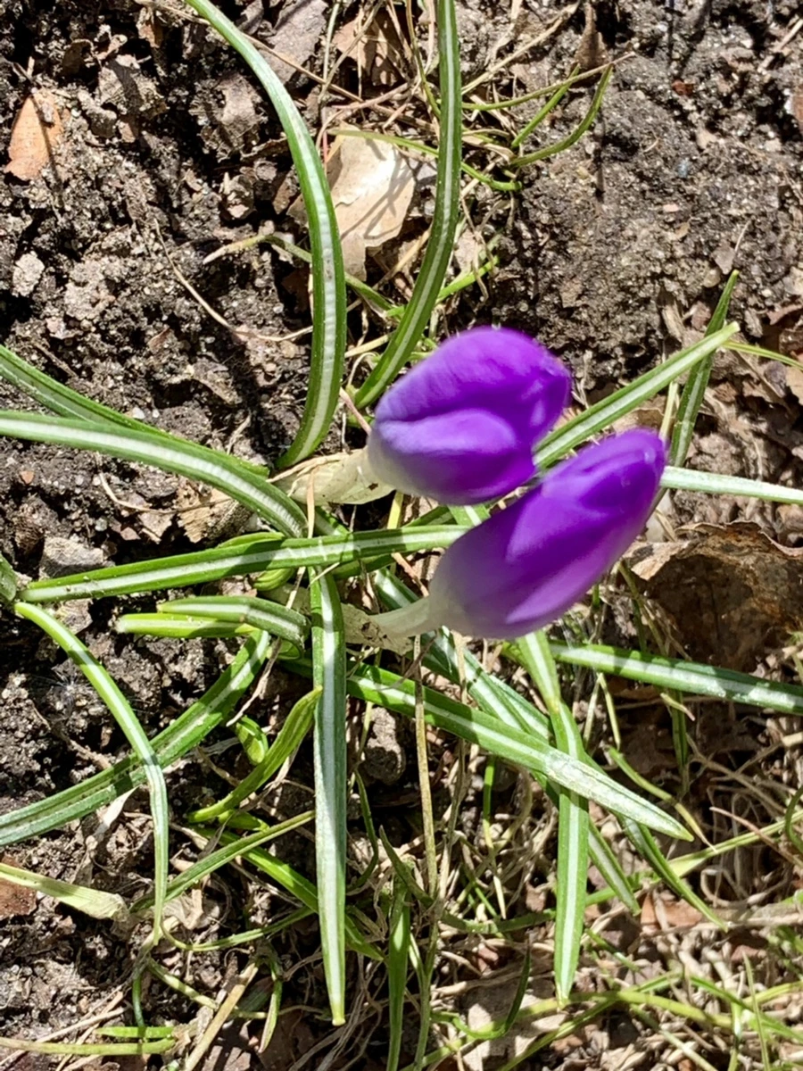 IMG_7471.jpg?type=w966