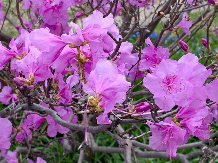 IMG_6760.jpg?type=w966