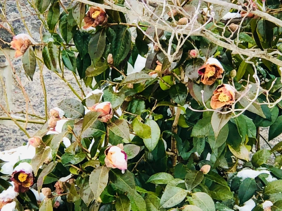 IMG_9090.jpg?type=w966