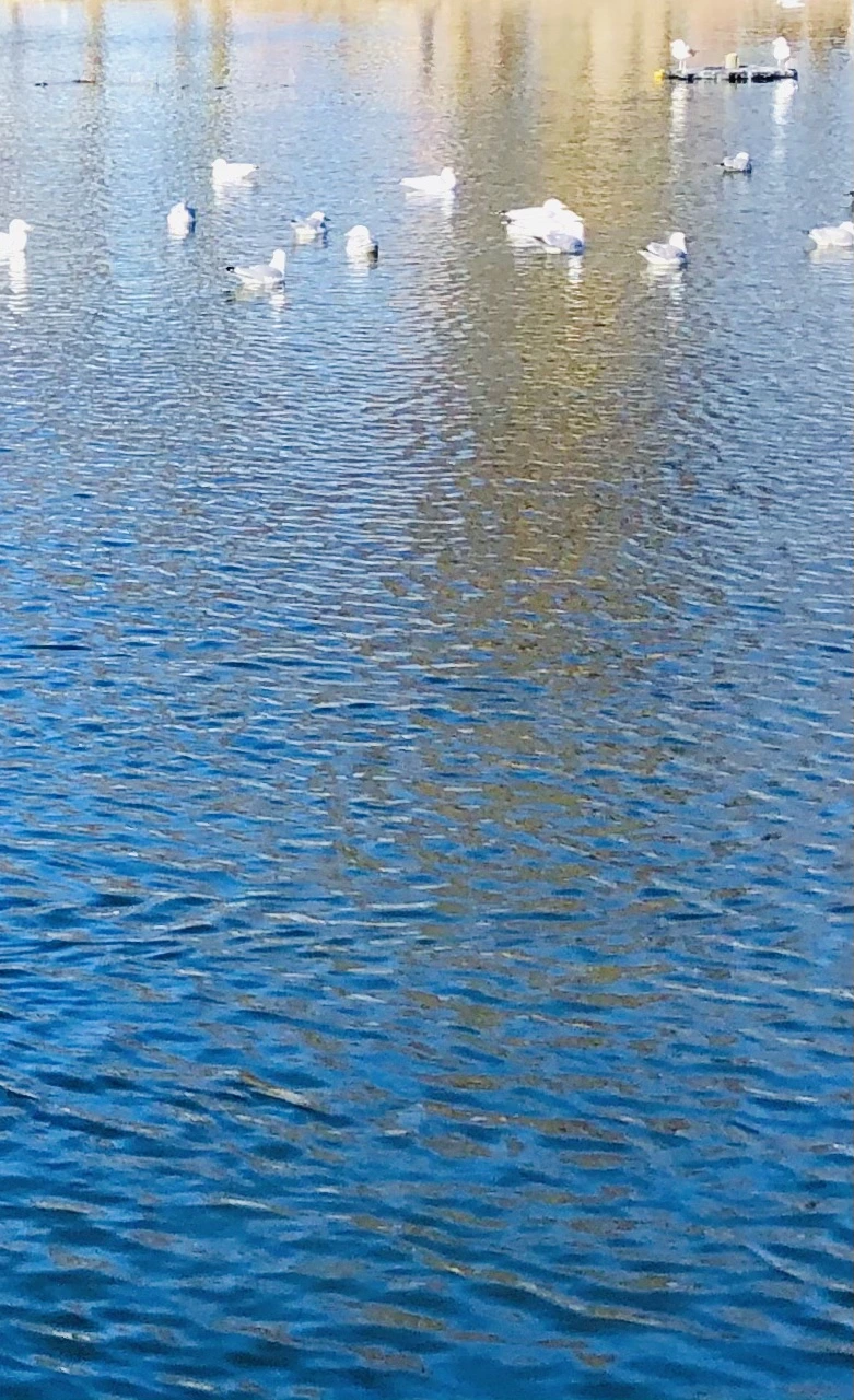 IMG_9729.jpg?type=w966