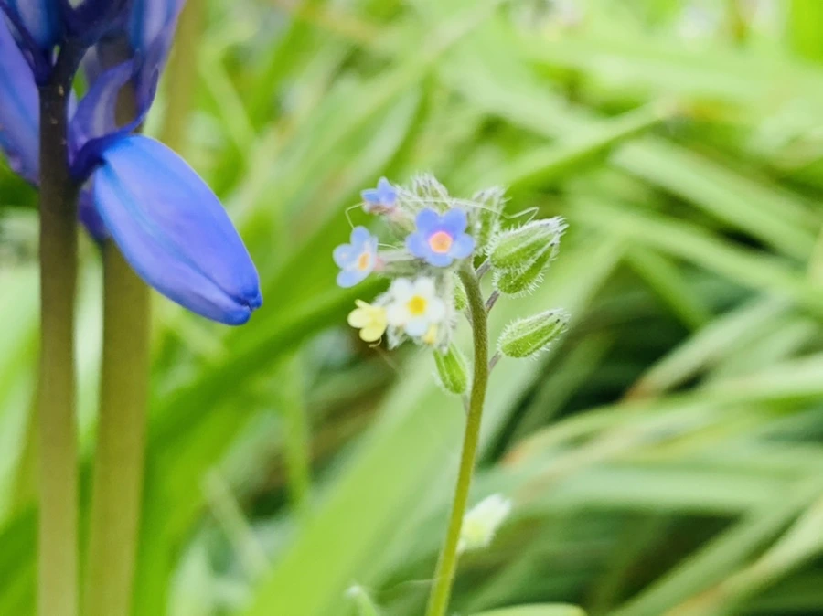 IMG_8646.jpg?type=w966