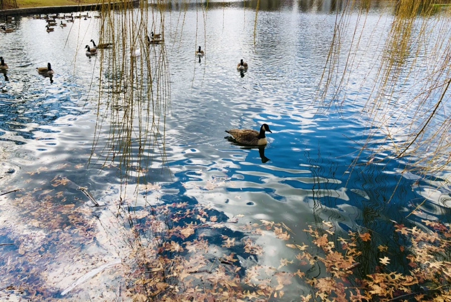 IMG_4331.jpg?type=w966