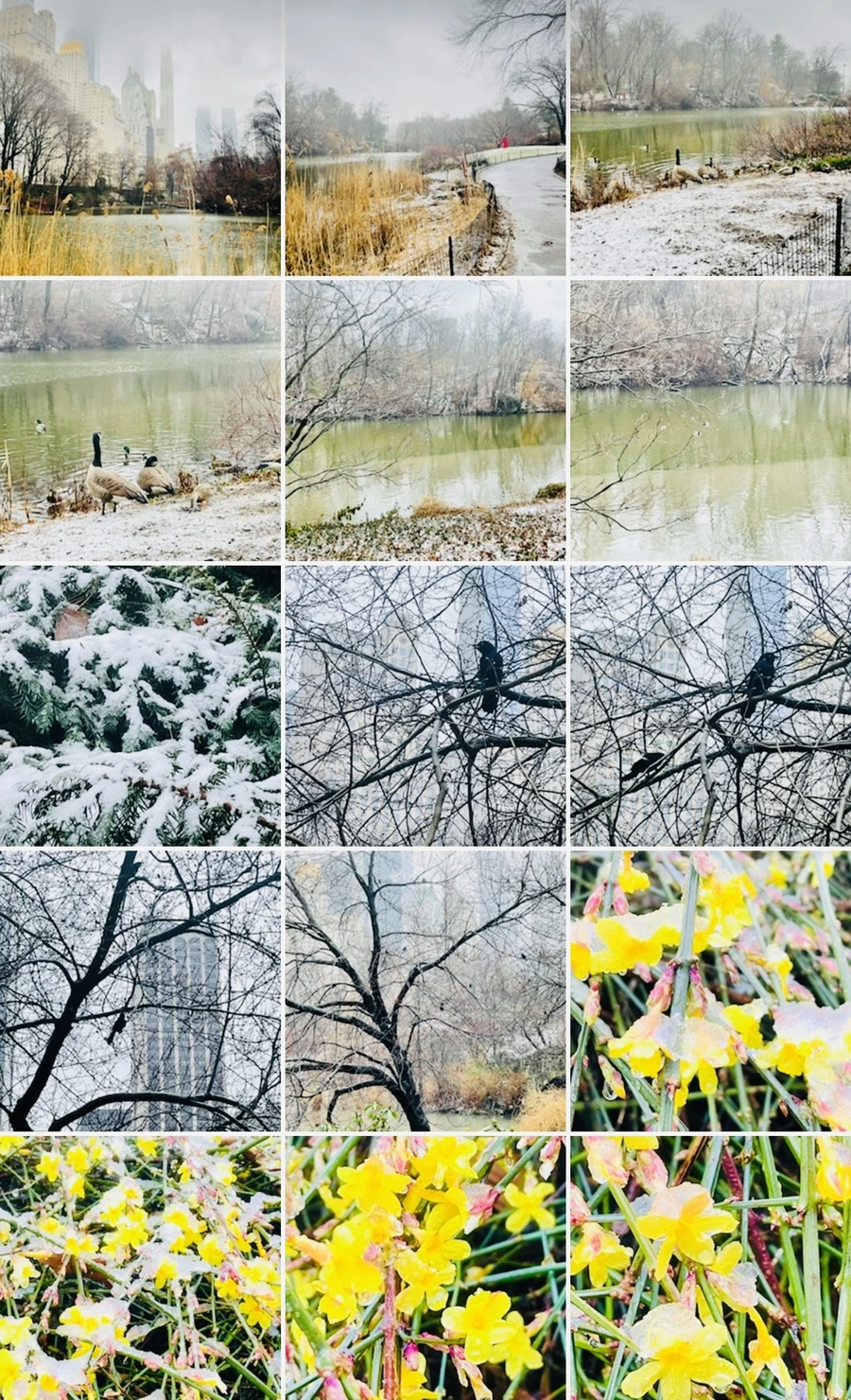 IMG_4390.jpg?type=w966